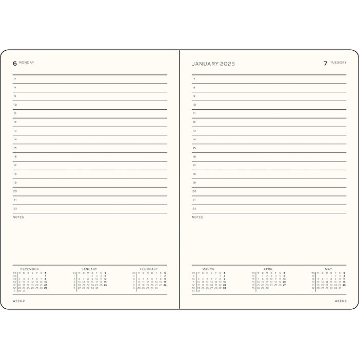 Daily Planner 2025, English